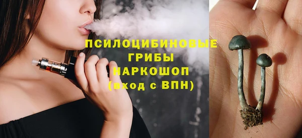 шишки Алзамай
