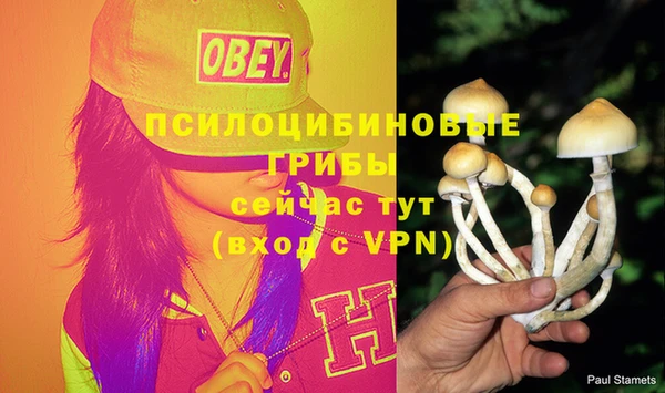 шишки Алзамай