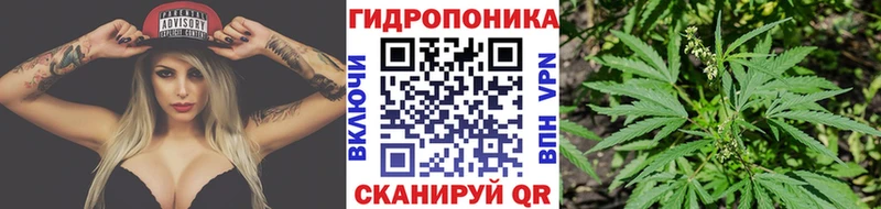 МАРИХУАНА семена  купить закладку  Жуков 